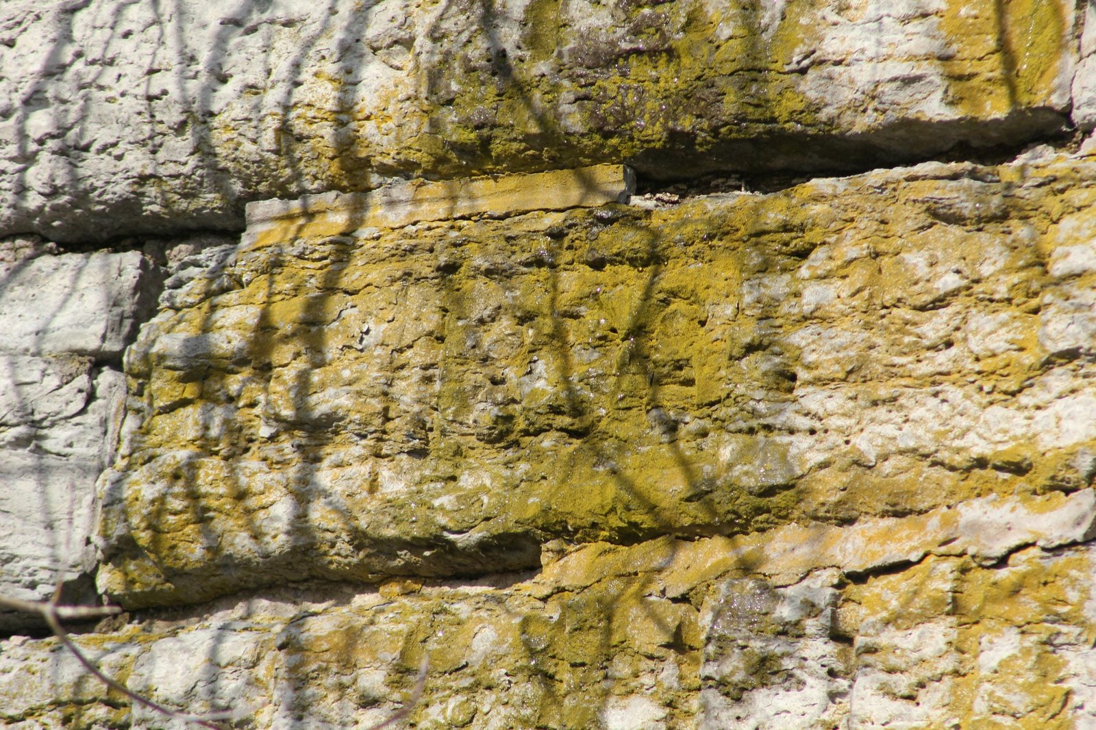 Date stone, west face
